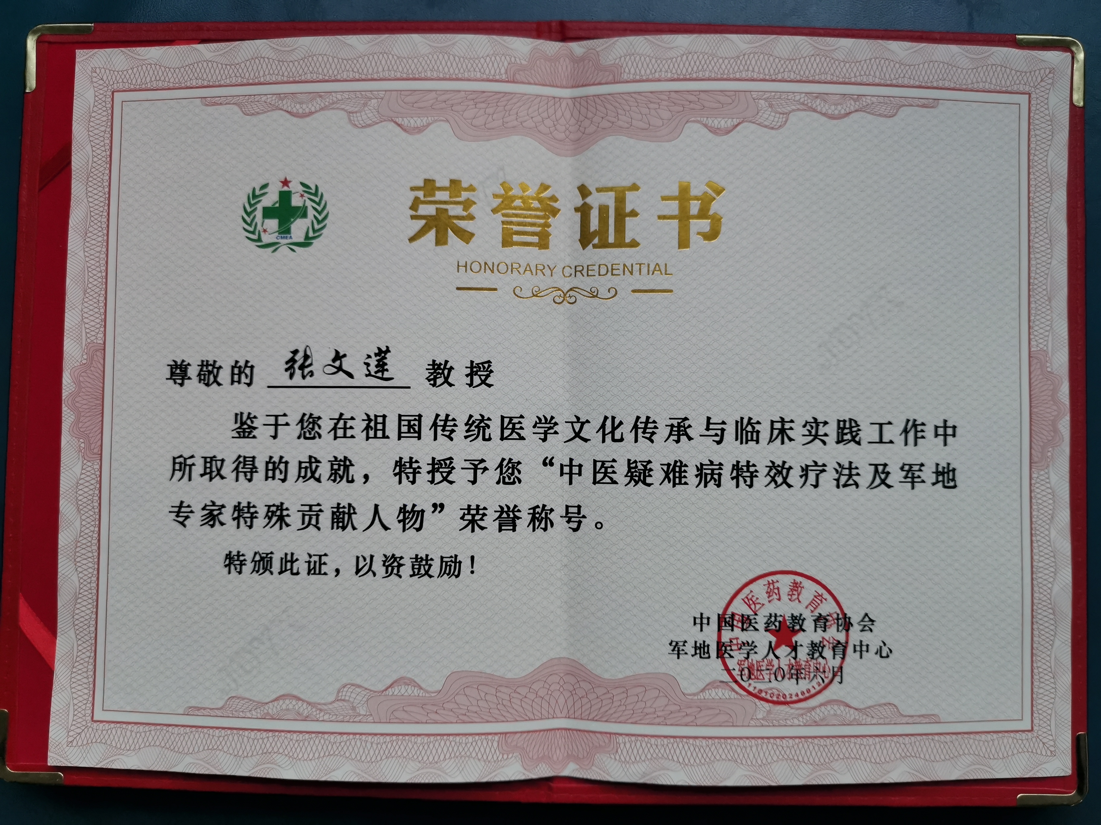 “中医疑难病特效疗法及军...